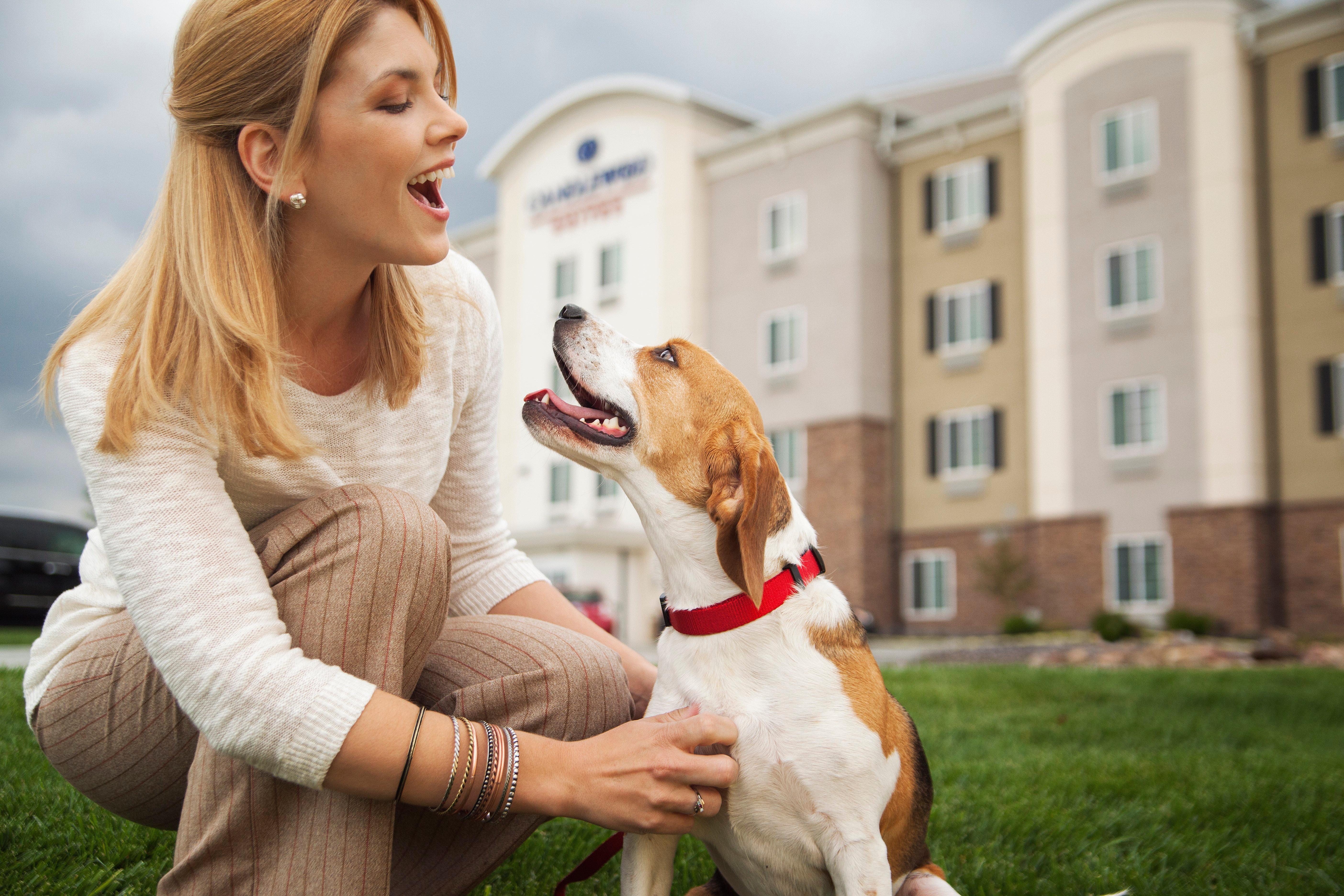 Sonesta Simply Suites Dallas Richardson Bagian luar foto